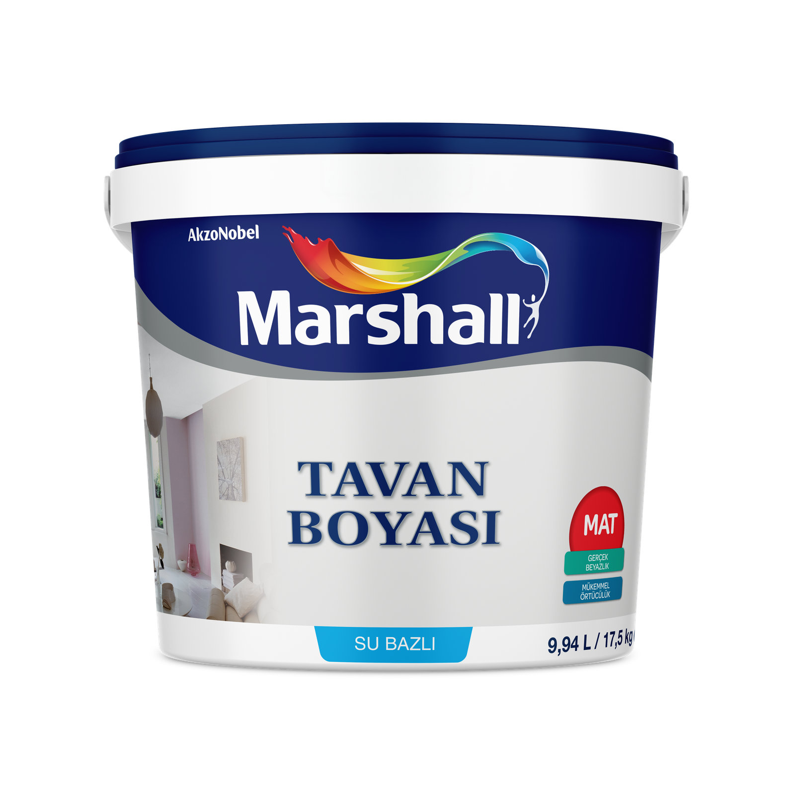 Tavan Boyası